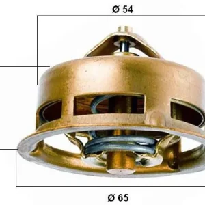 Hit cenowy Termostat, płyn chłodzący BORGWARNER BERU 3096.75
