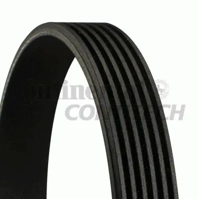 Oferta czasowa Pasek wielorowkowy CONTITECH 6PK1845